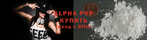 соль ск Инсар
