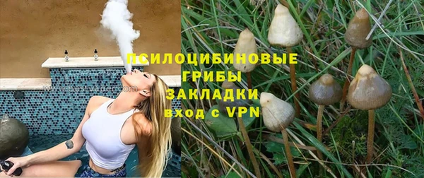 соль ск Инсар