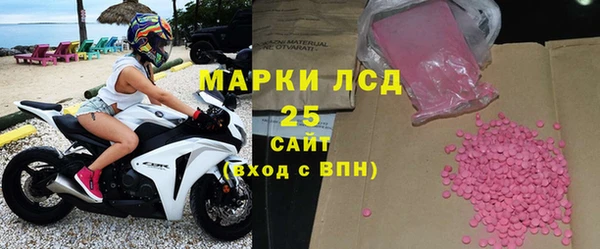 соль ск Инсар