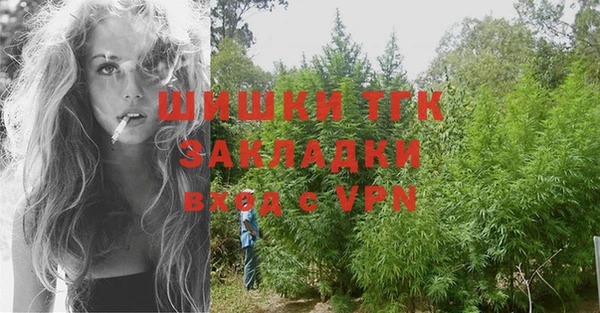 PSILOCYBIN Инта