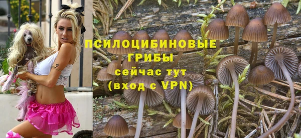 мяу мяу мука Янаул