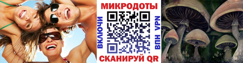 Галлюциногенные грибы Psilocybe  mega ССЫЛКА  Ачхой-Мартан  наркотики 